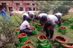 GARDENING